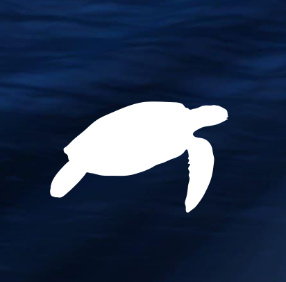 Plastic Free Bari