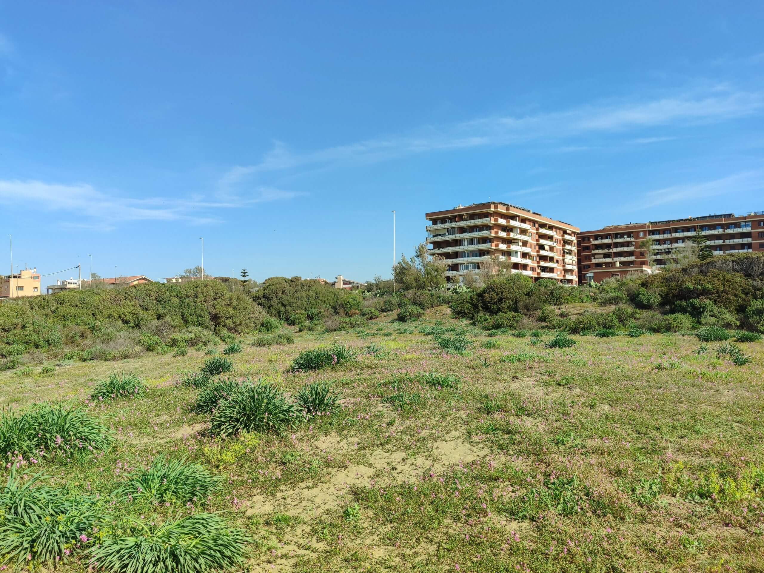 Bioblitz e Pulizia all’Oasi della Duna